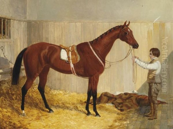 The Bay Racehorse Alice Hawthorn, Held By A Groom In Her Stable - view 1