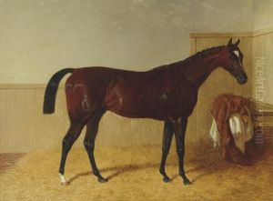 Touchstone, In A Loose Box by John Frederick Herring Snr