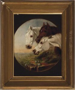 A Brown And Two Grey Horses At A Manger