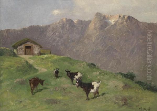 Mountain Goats - view 1