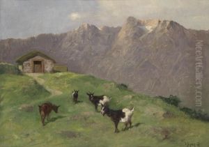 Mountain Goats