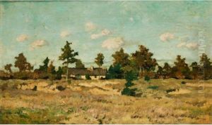 Sommerlandschaft