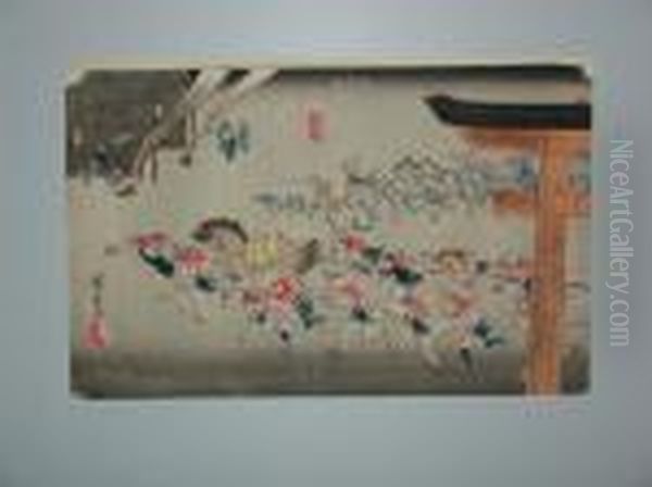 Miya - view 1
