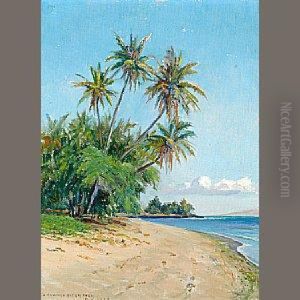 Hawaiian Beach With Palm Trees by David Howard Hitchcock
