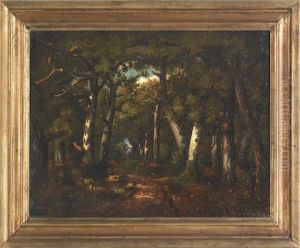 Landscape Landscape