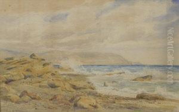 Coastal Landscapes - view 1