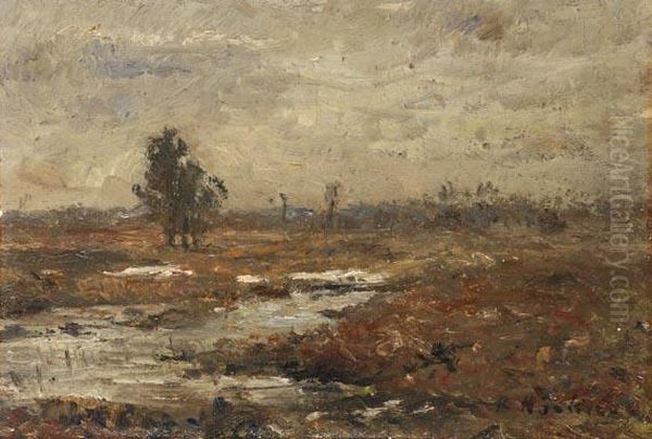 Moorlandschaft - view 1