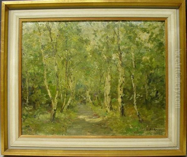 Birkenwald - view 1