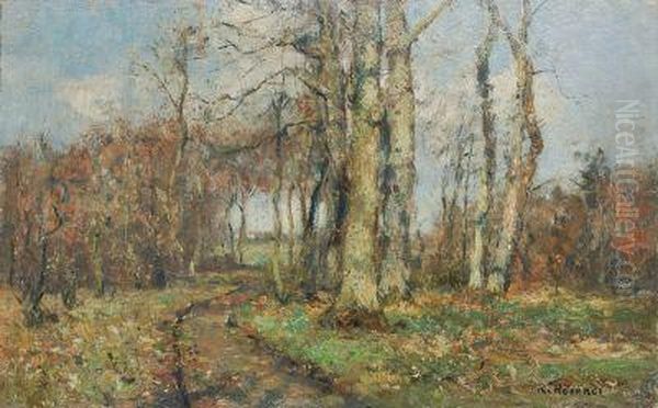 Waldweg - view 1