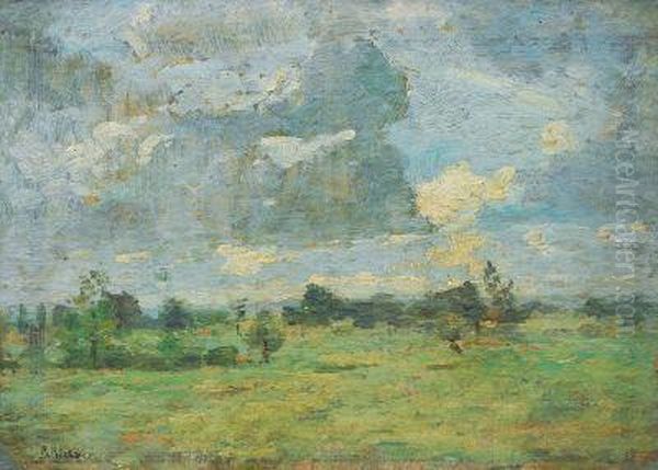 Marschlandschaft - view 1
