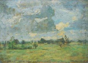 Marschlandschaft