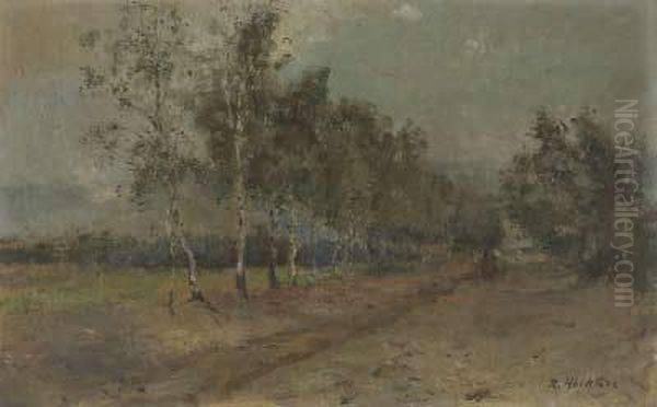 Birkengesaumter Feldweg Mit Kutsche - view 1