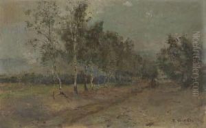 Birkengesaumter Feldweg Mit Kutsche Birkengesaumter Feldweg Mit Kutsche