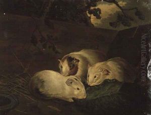 Primitive Study of Guinea Pigs by Penry Williams