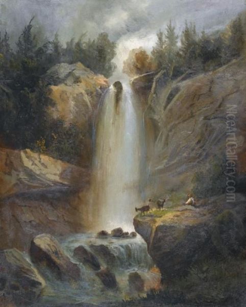 Der Obere Reichenbachfall - view 1