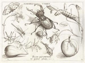 Archetypa Studiaque