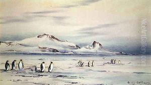 The Discovery Winter Quarters by Edward Adrian Wilson