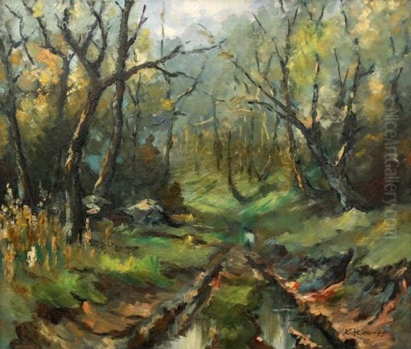 Forest In The Mountains Krusne Hory - view 1