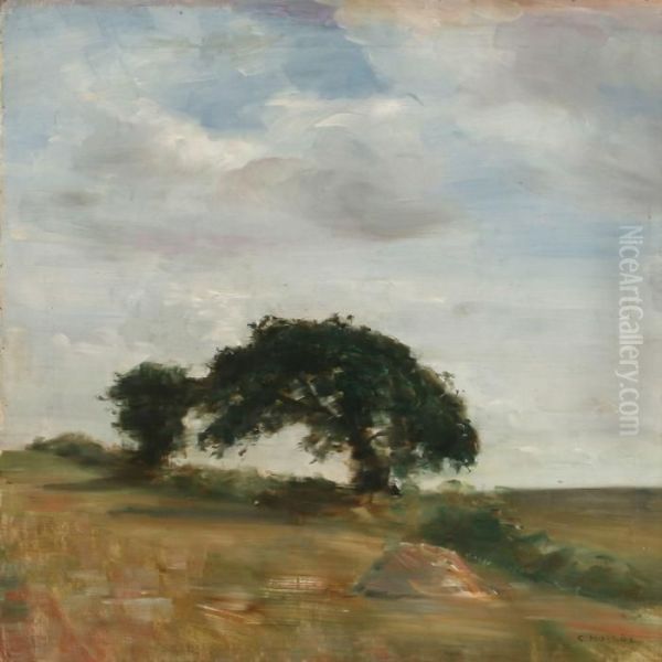Landscape With Old Treesand High Sky - view 1