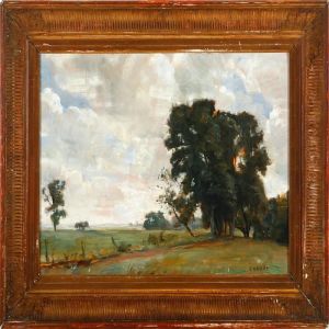 A Danish Summer Landscapescenery