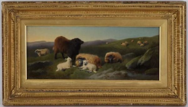 Animaux Dans Un Paysage - view 1
