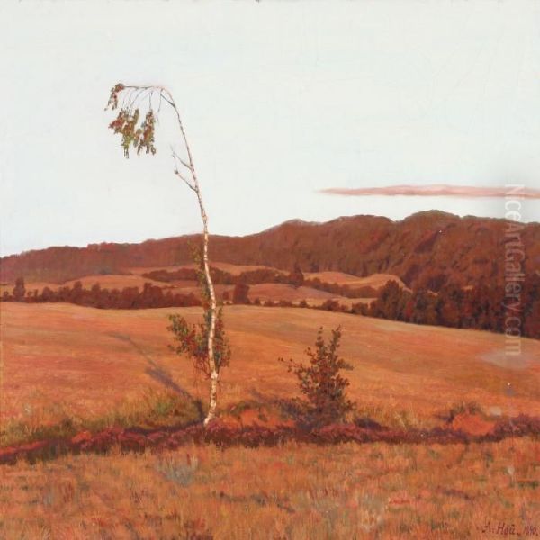 Moor Landscape In Evening Light - view 1
