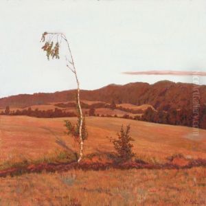 Moor Landscape In Evening Light