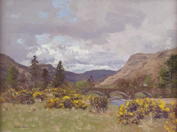 Head Of Loch Fyne - view 1