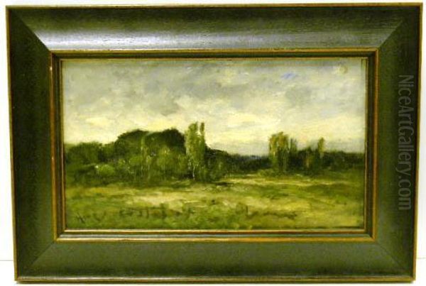 Landscape - view 1