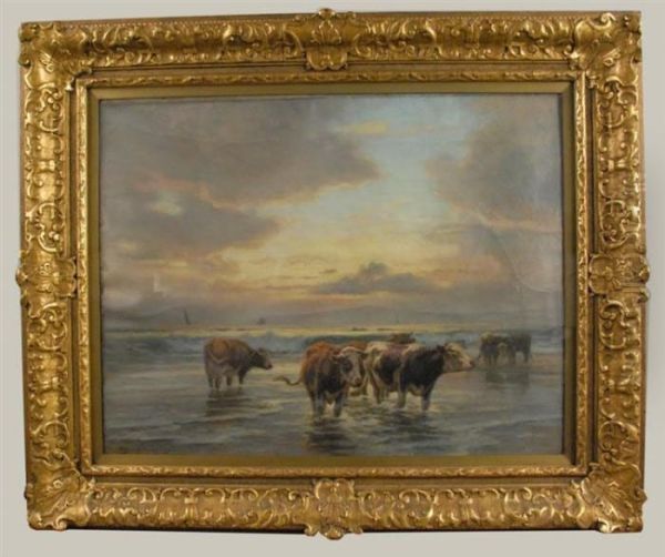 Cows Wading In The Sea At Sunset - view 1