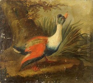 Un Canard Sauvage