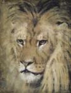 Study Of The Head Of A Lion by William Huggins