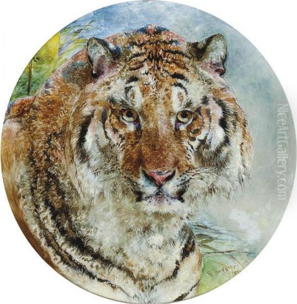 Head Of A Tiger - view 1