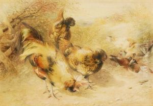 Chickens And Doves by William Huggins