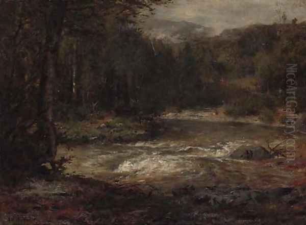 Mountain Stream - view 1