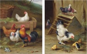 A Cockerel And His Hens by Edgar Hunt