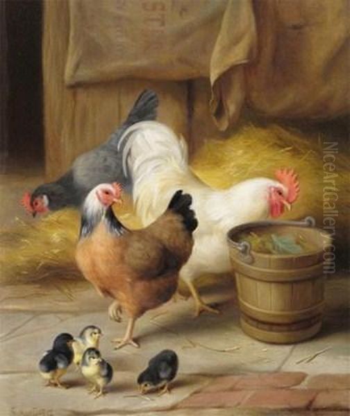 Chickens And Chicks In A Barn - view 1