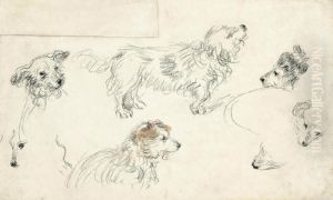 A Sheet Of Studies Of Dogs
