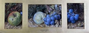 Still Lifes