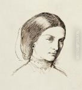 Portrait Of A Lady