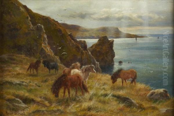Shetland Ponies On Bressay Sound - view 1