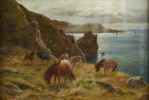 Shetland Ponies On Bressay Sound Shetland Ponies On Bressay Sound