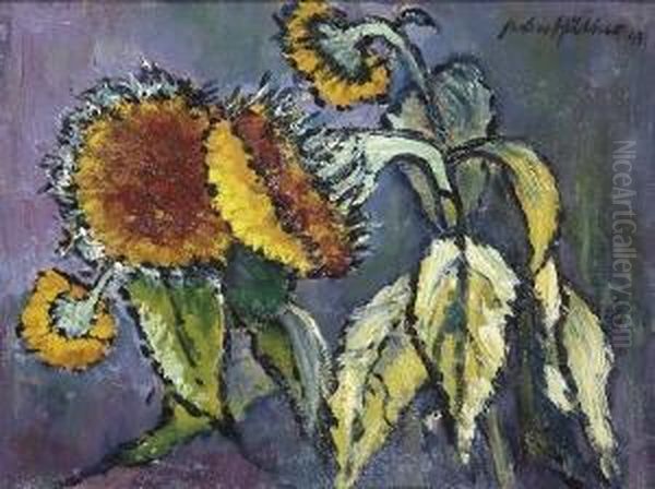 Sonnenblumen. - view 1