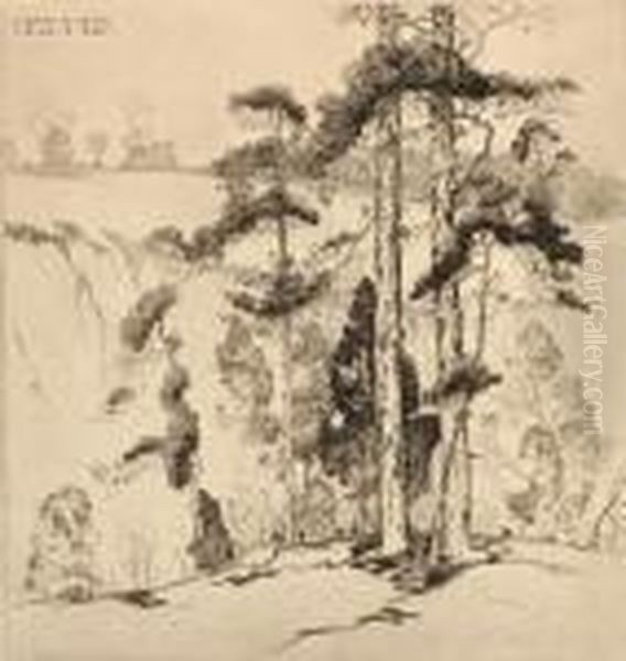 At The Edge Of The Cliff - view 1