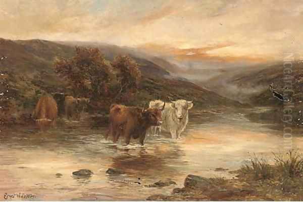 Highland cattle watering in a river landscape - view 1