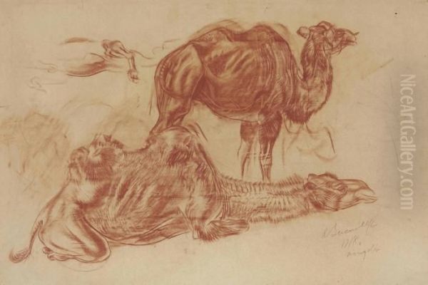 Study Of Resting Camels - view 1