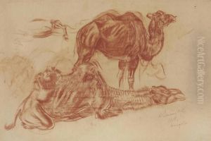 Study Of Resting Camels by Alexander Evgenievich Yakovlev