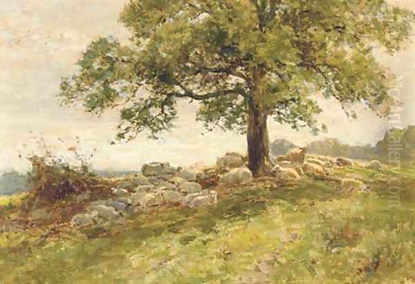 Sheep under a tree - view 1