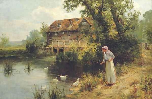 Feeding the ducks - view 1