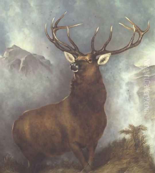 The Monarch of the Glen - view 1